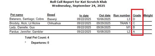 A screenshot of a report

AI-generated content may be incorrect.